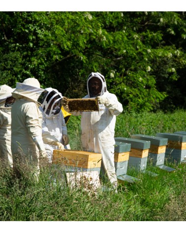 Je me lance en apiculture